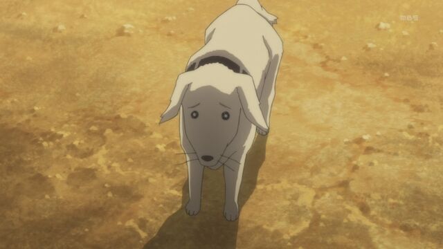 File:Dog anime.jpg