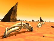 Deserto.jpg