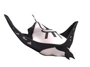 Manta noire.jpg