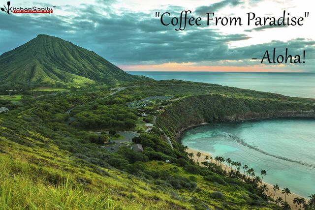 File:Coffee-from-paradise2.jpg