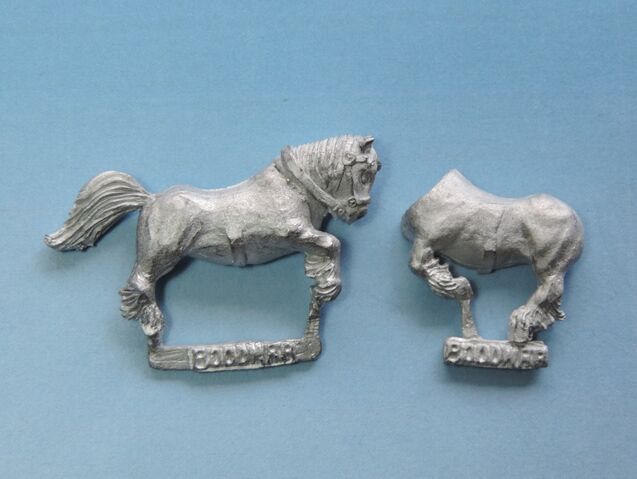 File:Bood Pony 5.jpg