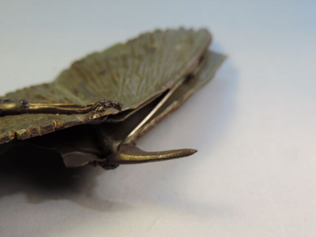 File:Dragon wings 5.jpg