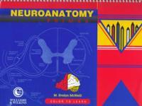 Download Image - 1997 Neuroanatomy Primer Color to Learn by M ...