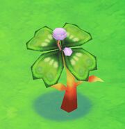 Clovertree2harvest