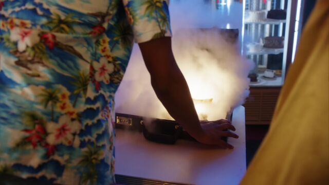 File:Smokey briefcase.jpg