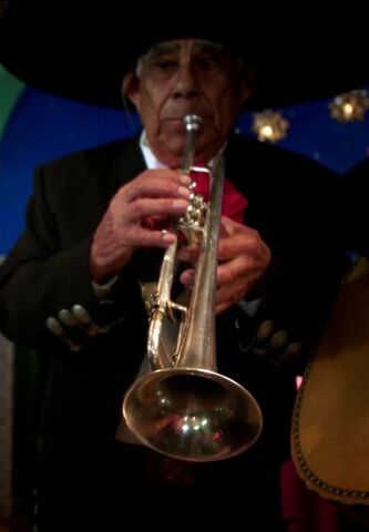 File:Señor Kevin's Trumpeteer.jpg