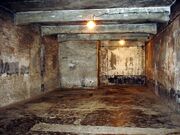 Auschwitz gas chamber