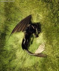 Dragon nip.jpg