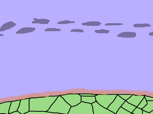 Raeth Surface