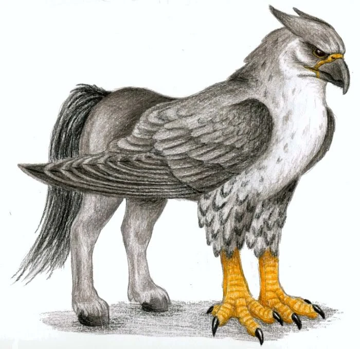 latest?cb=20160630003527