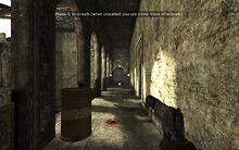 CDO Desert Eagle 01