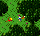Chasing Plant