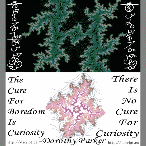 File:Curious.gif