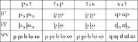 Tengwar-bicluster