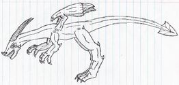 Duskan Dragon