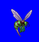 Hornet