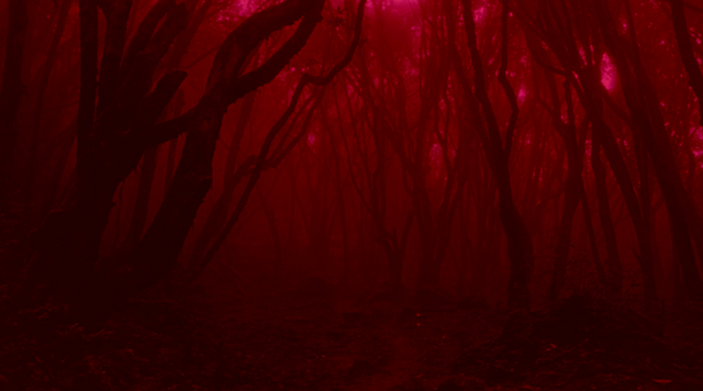 File:Ginger's Soul World.png