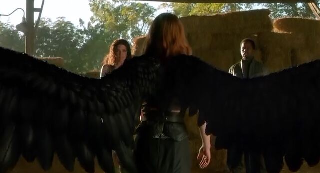 File:Fallen Wings.jpg