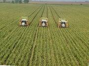 Industrial agriculture