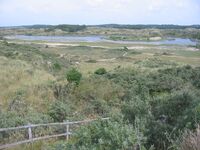 Dunes of Idunna
