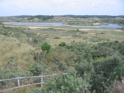 Dunes of Idunna
