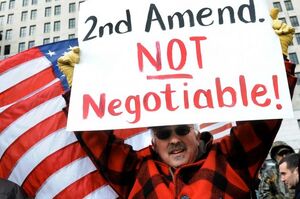 Pro-Gun Rally