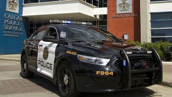 Hi-policecarnewbw-8col