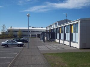 WestlandicSkoll