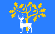 BracknellForestFlag