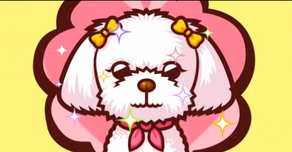 Poodle Cutie