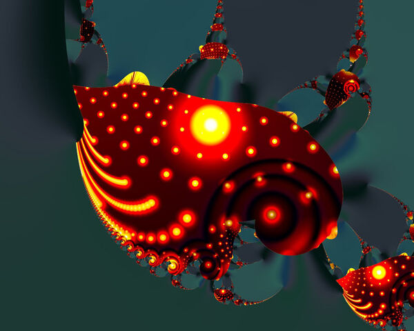File:Sea Slug2.jpg