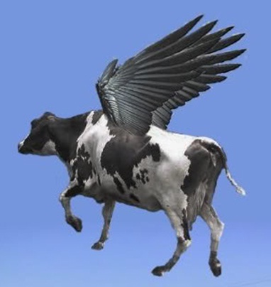 File:Flying cow.jpg