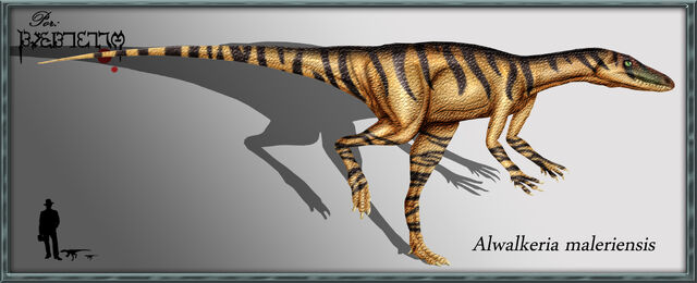 File:Alwalkeria maleriensis.jpg