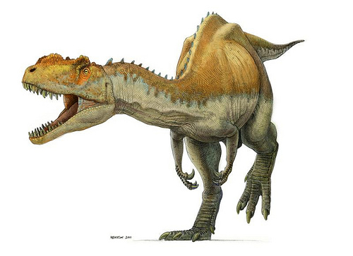 Metriacanthosaurus | Cool Dino Facts Wiki | FANDOM powered by Wikia