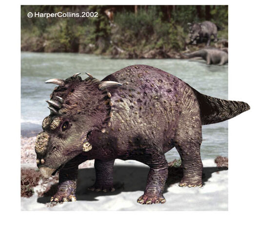 File:Pachyrhinosaur.jpg