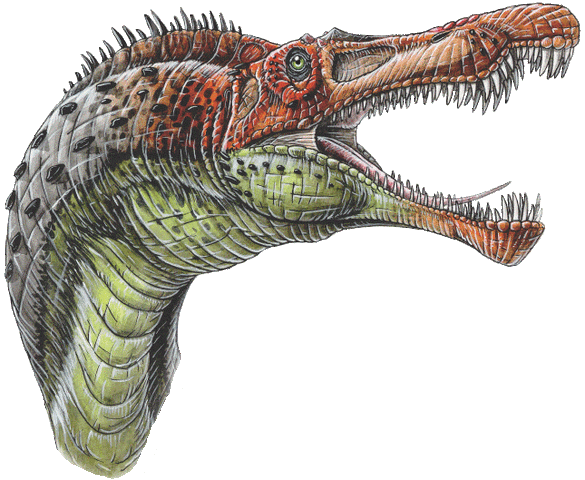 File:Baryonyx walkeri.gif