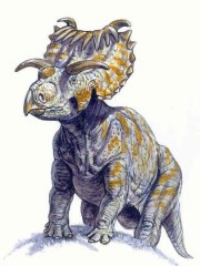 File:Kosmoceratops.jpg