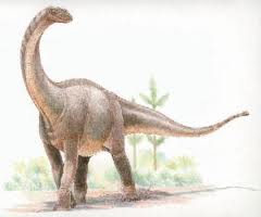File:Shunosaurus.jpg