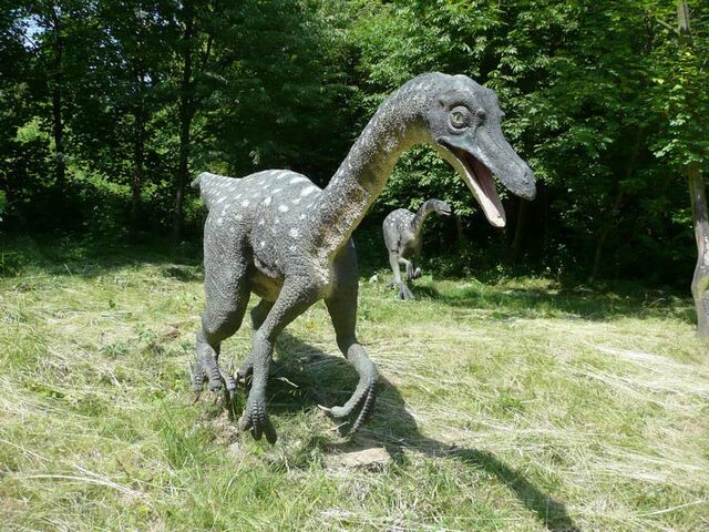 File:Ornithomimus4.jpg