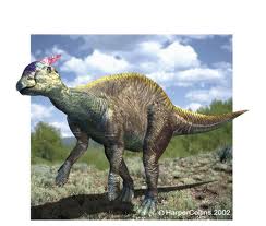 File:Saurolkophus.jpg