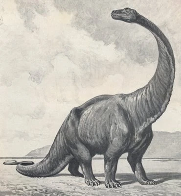 Gigantosaurus Cool Dino Facts Wiki FANDOM powered by Wikia