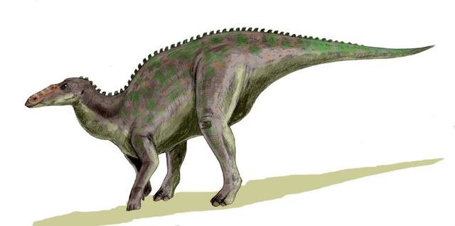 File:Anatotitan BW.jpg