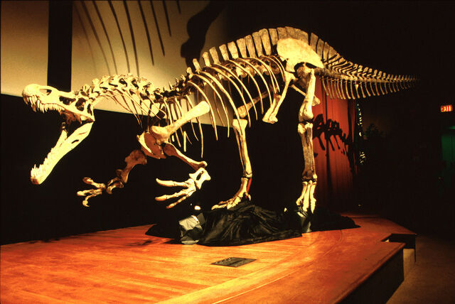 File:Untitled7.jpg