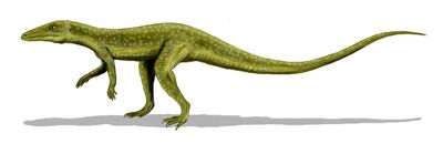 Saltoposuchus 1