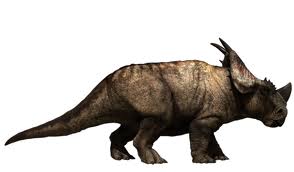 File:Pachyrhino.jpg