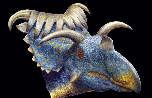 File:Kosmoceratops-horned-dino-002.jpg