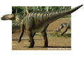 Thumbnail for version as of 23:34, November 10, 2011