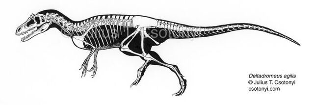 File:Deltadromeus01.jpg