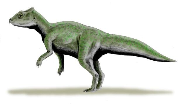 File:45 e9e3de1b42b1d45718d2c91556cc9200.jpg