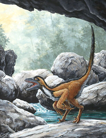 File:Sinornithosaurus2.jpg